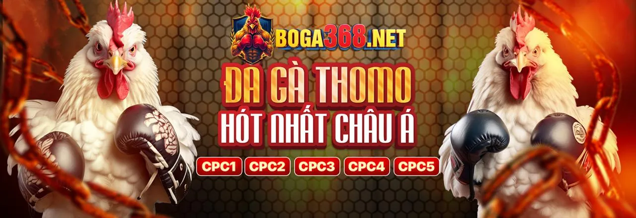 Đá Gà Trực Tuyến Hấp Dẫn tại binh88